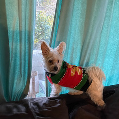 Fundraising Page: Cathy Adams-Bomar